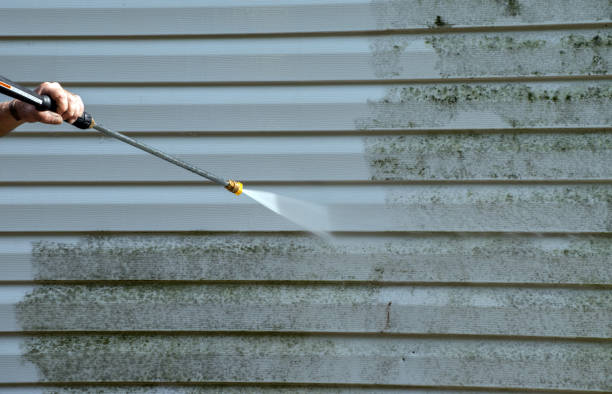 Best Fence Cleaning  in Nokomis, FL